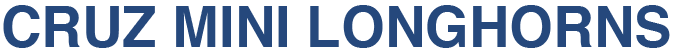 Crux Mini Longhorns Logo